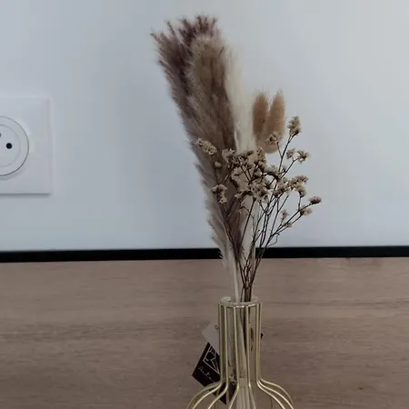 Confort Et Design-prés De La Cathédrale Appartement *