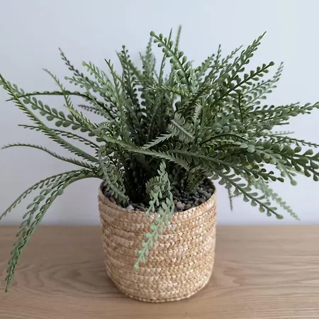 Confort Et Design-pres De La Cathedrale *