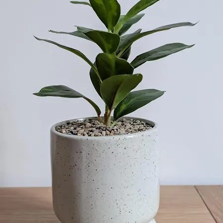 Apartment Confort Et Design-pres De La Cathedrale