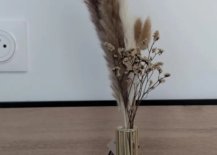 Confort Et Design-pres De La Cathedrale Apartment *