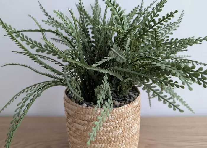 Confort Et Design-pres De La Cathedrale *