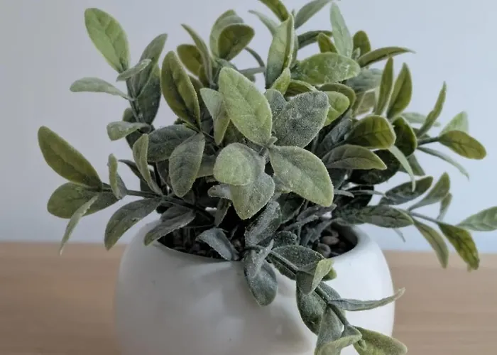 Apartment Confort Et Design-pres De La Cathedrale Amiens