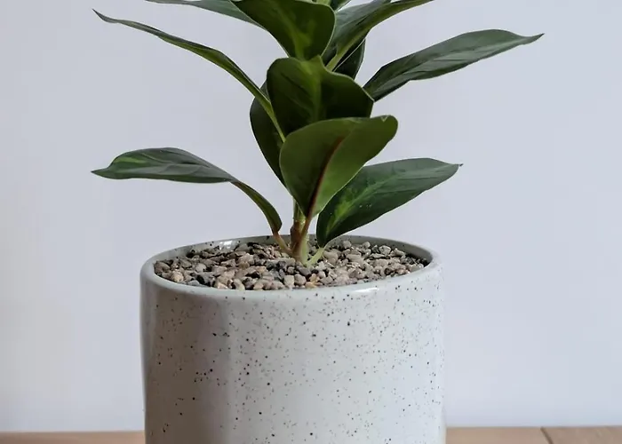 Apartment Confort Et Design-pres De La Cathedrale